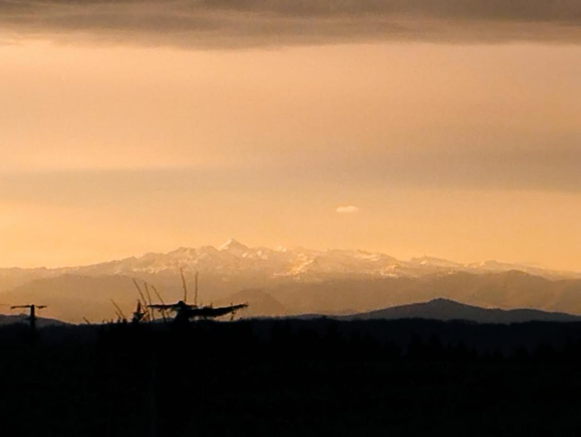 Appartement, Vue Sur Les Pyrenees Pouillon Εξωτερικό φωτογραφία